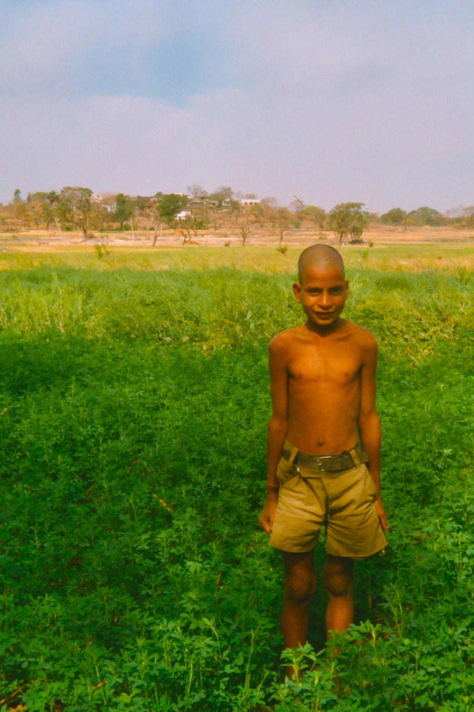 Indian boy standing in a field.