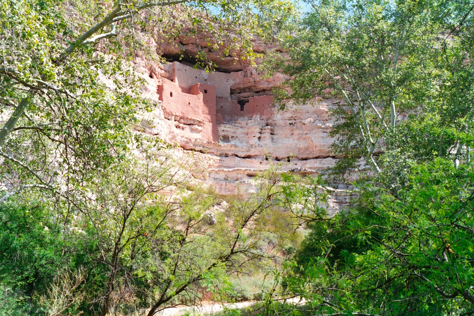 Tiny dwellings that form Montezuma Castle, built into the rock face in Arizona.