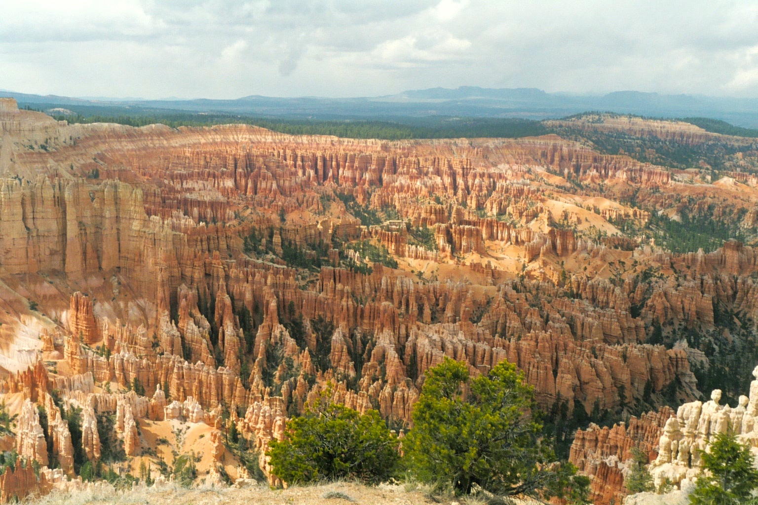 Bryce Amphitheater, with its huge array of hoodoos (columns of rock).